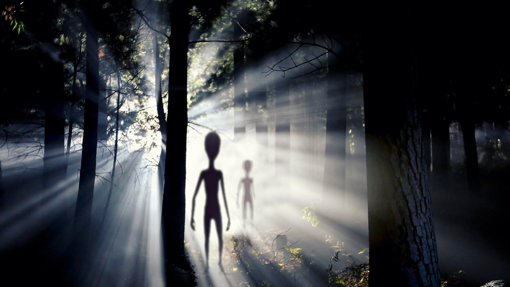 Backlit aliens in a forest