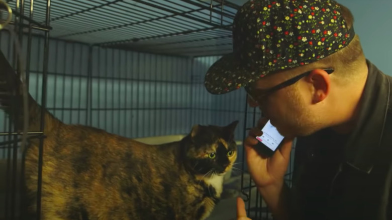 El-P listening to music with cat