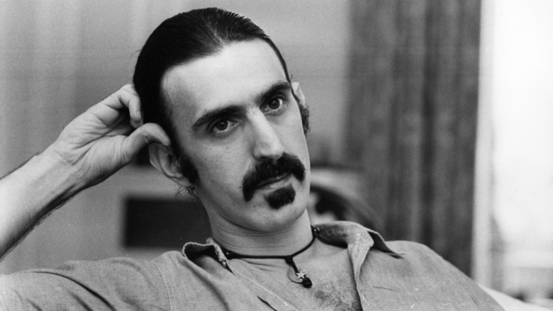  Frank Zappa ponytail