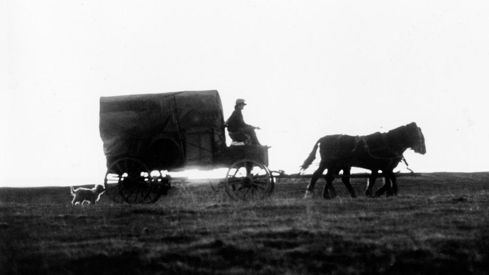 Horse-drawn wagon in silhouette