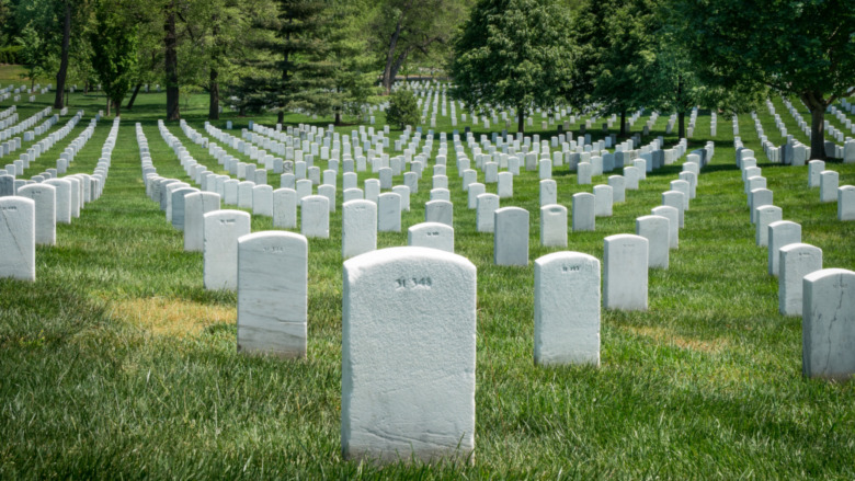 Rows of white tombstones in green grass