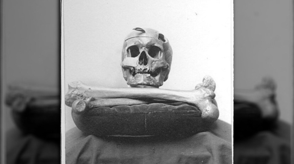 Skull and Bones resting on a pillow