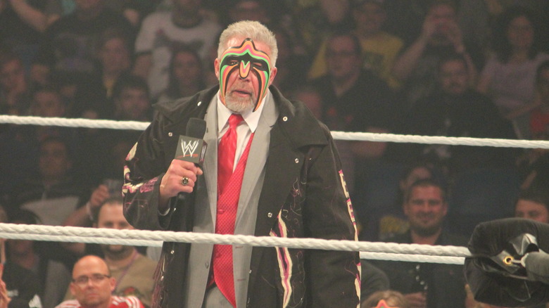 the ultimate warrior in 2014