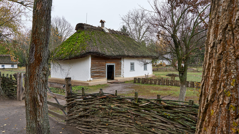 thatched roof house in village