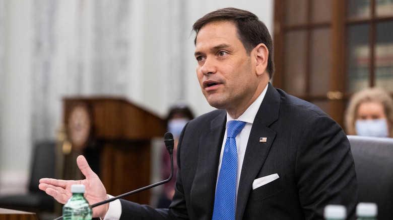 Florida Senator Marco Rubio speaking during a committee hearing