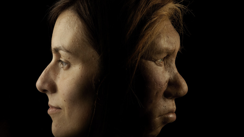 neanderthal and human face