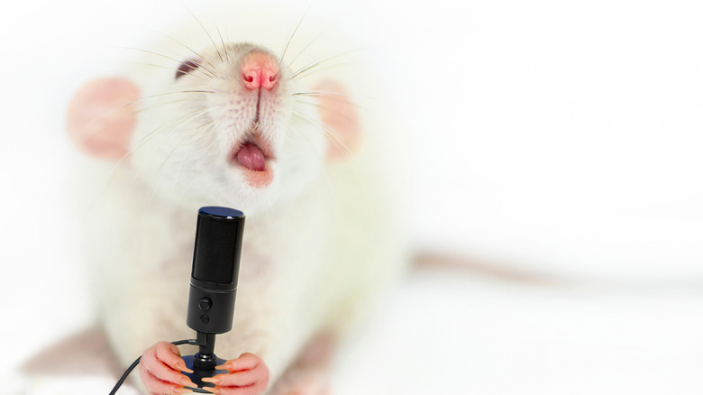 mouse with a microphone