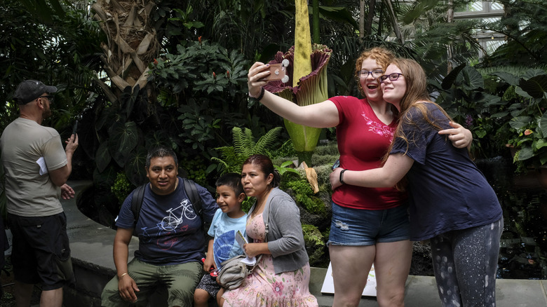 visitors take selfies in front of a corpse flower