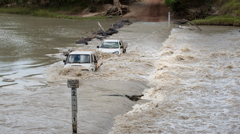 cahill's crossing australia crocodile