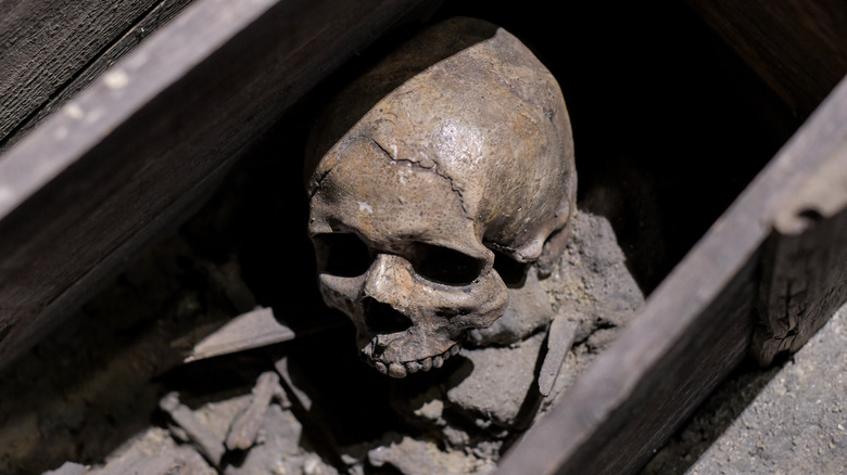 Skull and bones in a wooden coffin
