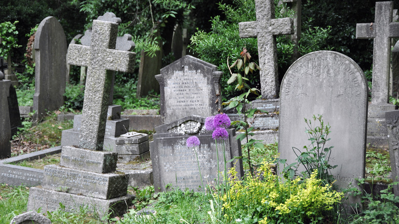 overgrown tombstones in Highgate