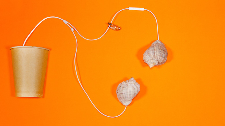 Creative seashell headphones 