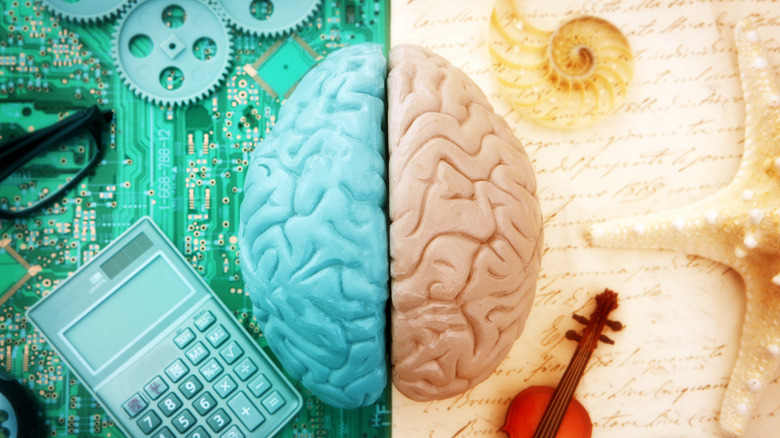 Music and the brain