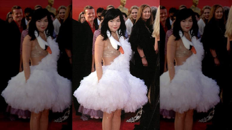 Bjork at the Academy Awards in 2001 in swan tutu