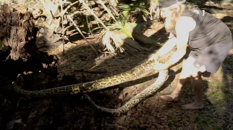 Woman dragging large snake