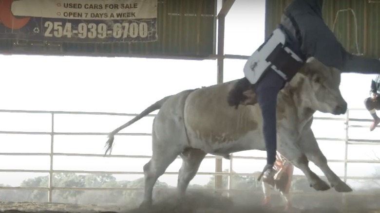 Kennedy getting tossed by a bull