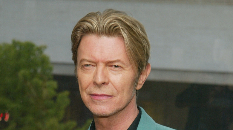 Singer David Bowie