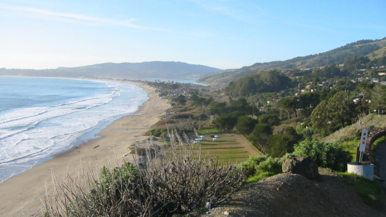 Marin County shoreline