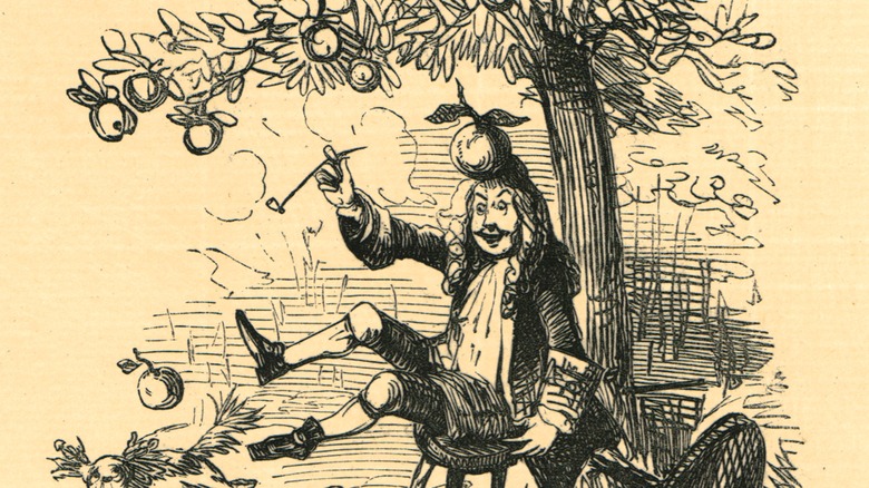Illustration of apple hitting Newton on the head