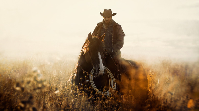 Cowboy on horse