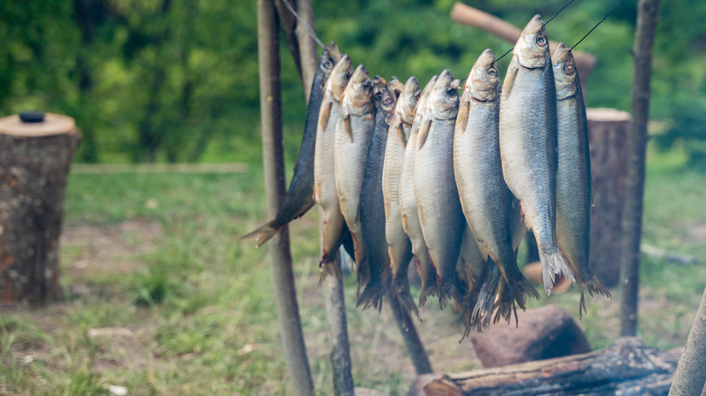 Smoking fish