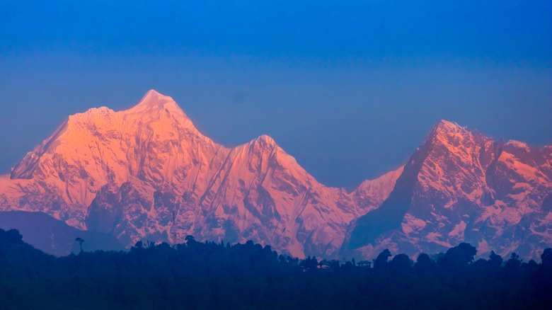 Kangchenjunga bathed in alpenglow