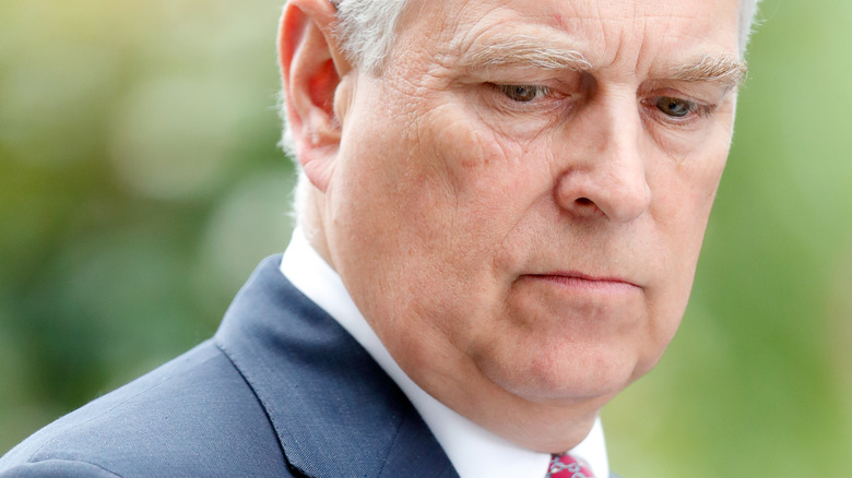Prince Andrew looking down