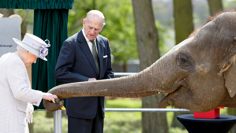 Queen Elizabeth and elephant
