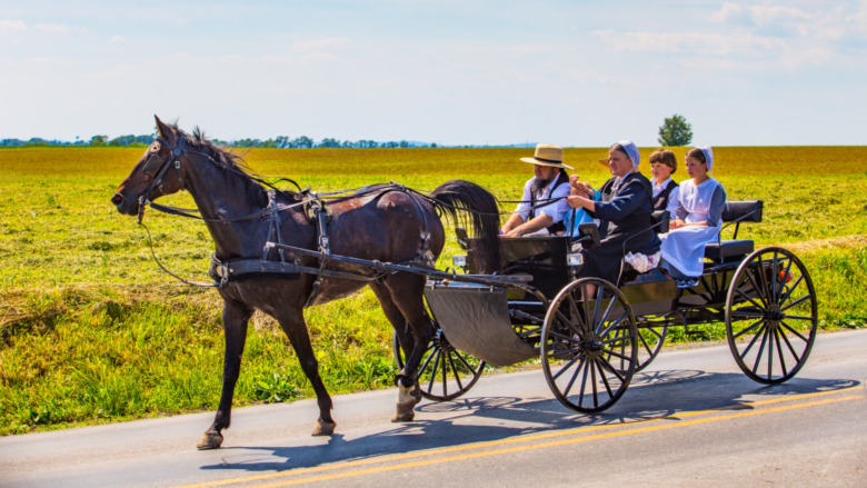 Pennsylvania Dutch family riding in a cart