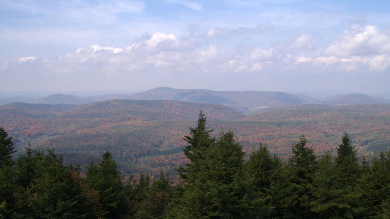 View of Allegheny Mountains