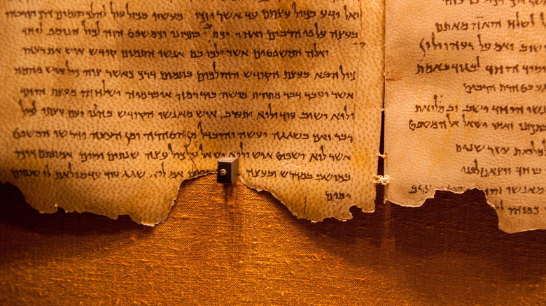 Dead Sea Scrolls fragments