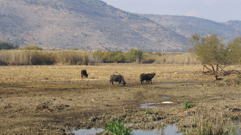 Hulah Valley Reservation