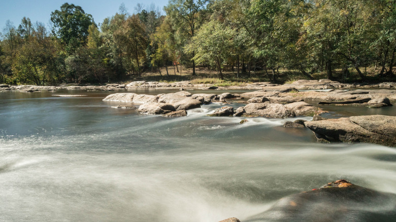 Tyger River, South Carolina