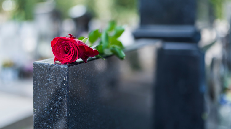 a rose atop a grave