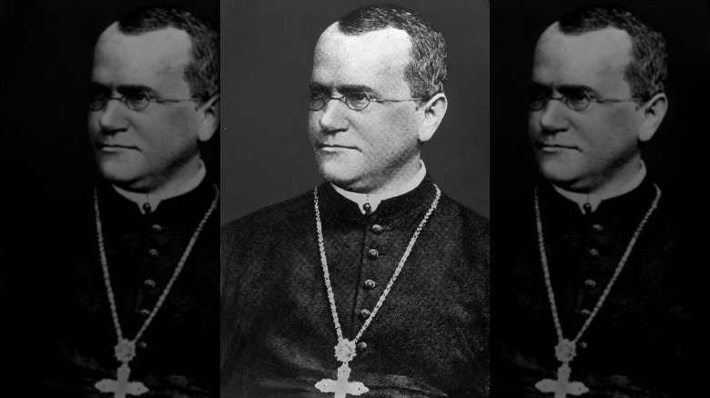 Photo of Gregor Mendel