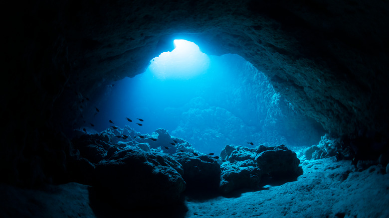 An underwater cave 
