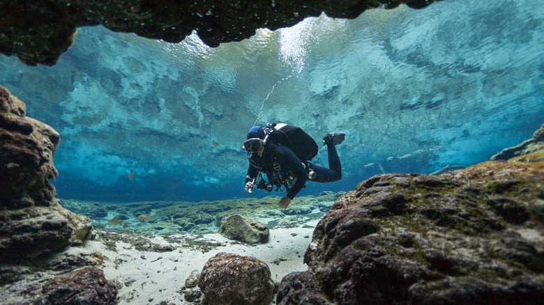 An underwater diver