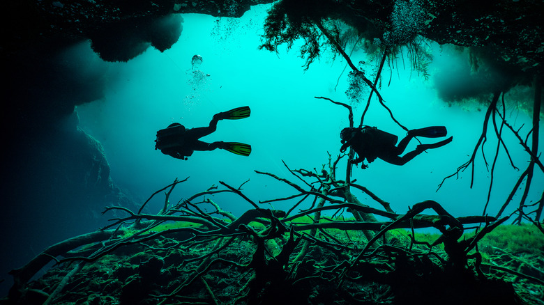 Two divers swim underwater