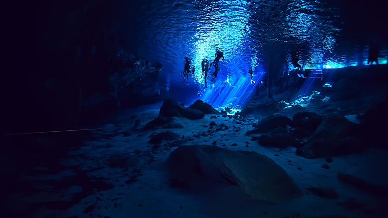 Underwater divers in patch of light