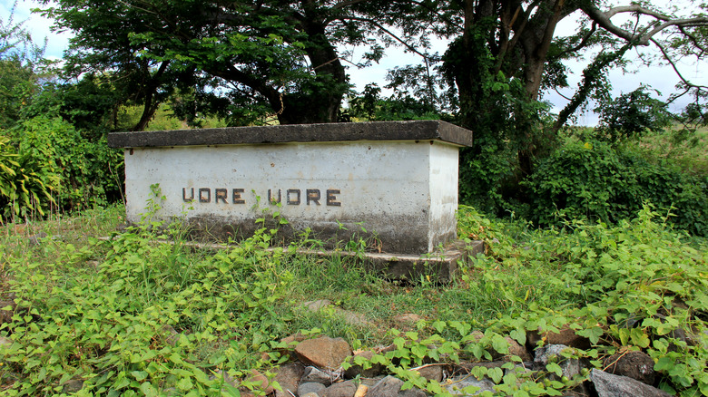 udre udre gravestire fiji