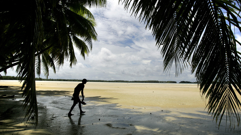 palmyra atoll person on the beach