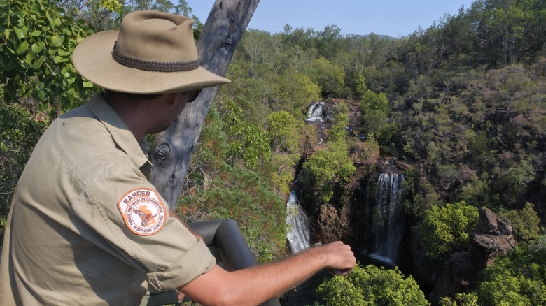 park ranger looking at the woods