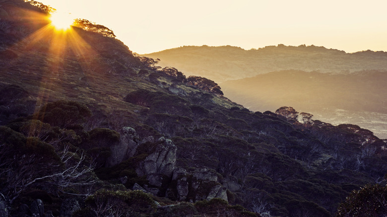 Mt. Kosciuszko