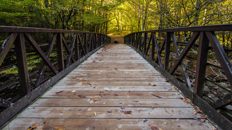 Great Smoky Mountains trail