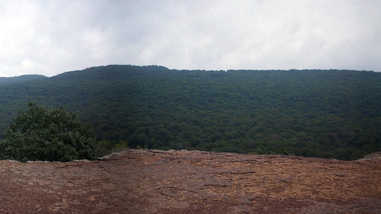 Devil's Den State Park from Yellow Rock