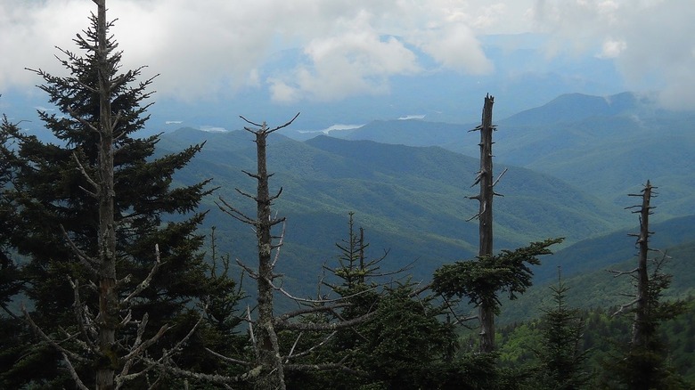 Great Smoky Mountains National Park