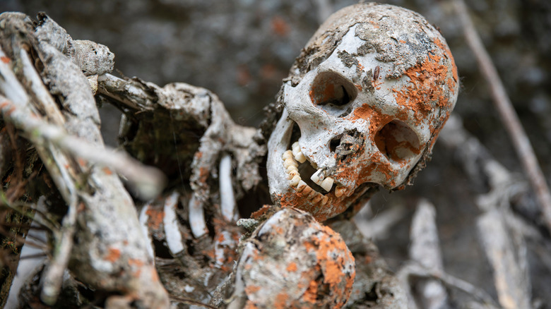 smoked mummy in remote part of Papua New Guinea