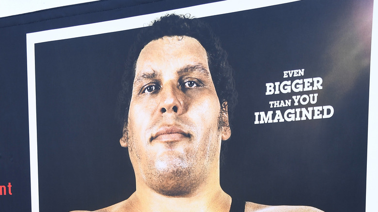 A poster of Andre the Giant