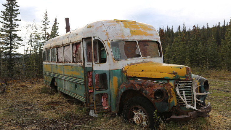 Bus 142 in Denali, Alaska