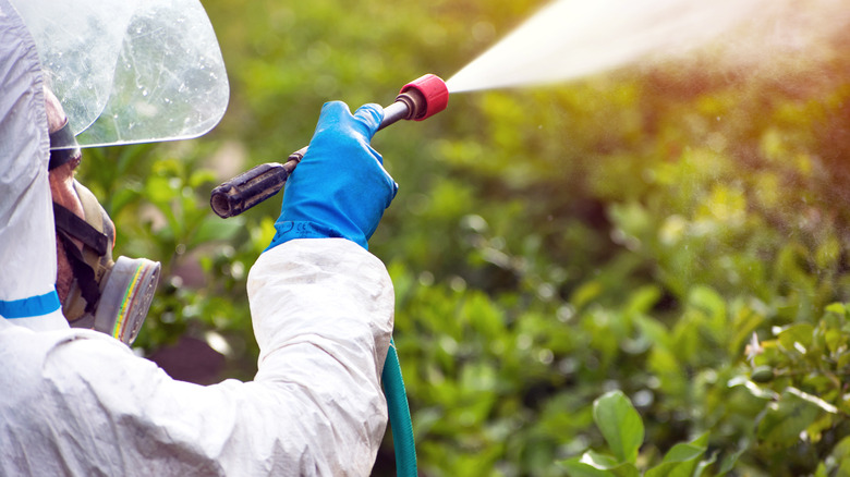technician spraying pesticide over crops